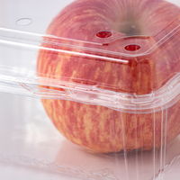 Fabriek Levering Vierkante Clamshell Box Transparant Doos Clamshell Plastic Verpakking Plastic Doorzichtig Fruit Verpakking