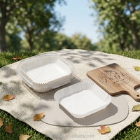 Feuilles de cuisson jetables en silicone double face de qualité alimentaire antiadhésives et écologiques pour friteuse à air, pour pain, biscuits et cuisine
