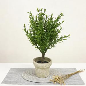 Arbres artificiels de 21 cm, vert clair, <span class=keywords><strong>romarin</strong></span>, petit arbre bonsaï avec pot en pulpe vintage, mini plante en pot pour la décoration de la maison - Product Image 6