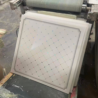 Paneles de Techo de PVC Cuadrados Modernos, Impermeables y Resistentes al Fuego, 60x60, para Uso en Hoteles y Hospitales, Instalación de Rejilla de Techo