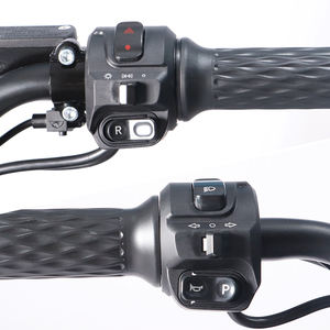 Nouveau produit en gros : Scooter électrique avec dossier, affichage LED, vitesse 25/35/45 km/h, prix CKD - Product Image 5