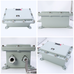 Control Remoto Industrial a Prueba de Explosiones con Señal de Transmisión Fuerte para Grúa Aérea - Product Image 4