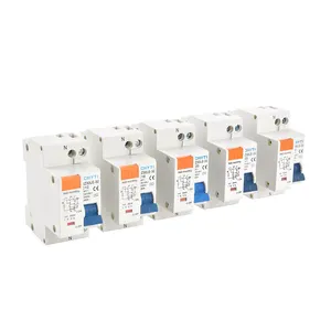 Produsen 2p RCCB Rcbo RCD DZ30LE arus residu pemutus arus dengan 16a 20a 40a AC 230V