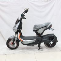Bicicleta Eléctrica para Adultos de 48V y 28 Pulgadas con Motor Trasero de 1000W, Velocidad Máxima de 75 km/h, Batería de Plomo-Ácido y Pantalla Digital