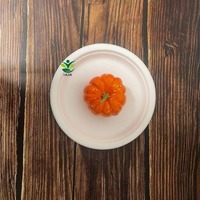 Vente en gros 100% assiettes jetables compostables biodégradables bagasse canne à sucre 9 pouces de pâte à papier de canne à sucre plat de fête de qualité alimentaire