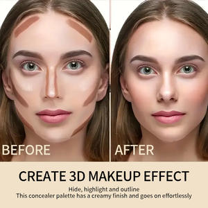 פרטי לוגו עמיד למים צבעים קונסילר צבע מינרלים טבעי פנים נייד ערכת איפור לוח קונטור - Product Image 4