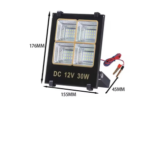 ไฟส่องสวนขนาดเล็ก 30W ประหยัดพลังงาน DC12V LED รุ่นยอดนิยมประจำปี 2024 - Product Image 1