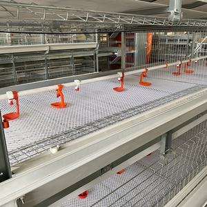 Gabbie per Polli da Carne in Metallo per 50000 Uccelli in Vendita - Product Image 2