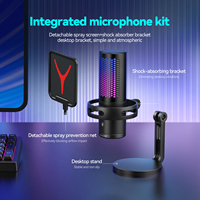 Microphone de jeu pour ordinateur de bureau USB filaire RGB de haute qualité, microphone à condensateur à réduction de bruit, utilisation en conférence, métal et plastique