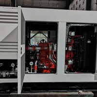 Groupe électrogène au gaz naturel 200 kW 250 kW 300 kW |   50Hz 60Hz |   Générateur au biogaz GPL pour l'industrie | Canopée silencieuse |   Surveillance à distance