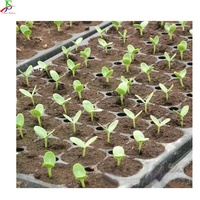 Machine de semis éducative, 150 w, radis, semis de légumes, graines de fleurs