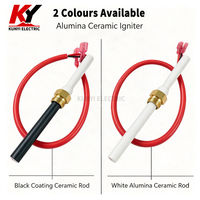 Allumeur de granulés céramiques 220V 300W, cartouche chauffante à surface chaude, chauffage rapide pour poêle, chaudière, grill