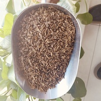 Larves de mouche soldat noire séchées et torréfiées Bioforte, riches en protéines, inodores, ingrédients naturels et biologiques de crevettes blanches du Pacifique et de crabes