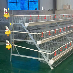 Approvisionnement d'usine galvanisé à chaud 60 oiseaux/poulets capacité Cage à poulet volaille Cage à poulet - Product Image 1