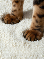 Litière pour chatons en tofu de manioc pur - Écologique, biodégradable, agglomération rapide, contrôle des odeurs, sans poussière, anti-adhésive, sans goût