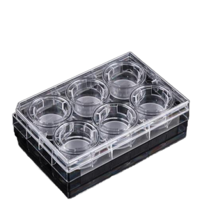 Insert Transwell Membran PET 1um untuk Plat Kultur Lab <span class=keywords><strong>6</strong></span>-well, Insert Kultur Sel - Product Image 1