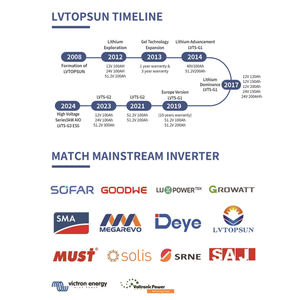 LVTOPSUN Achetez une batterie au lithium Batterie rechargeable longue durée Pack de batteries à cycle profond Batterie au lithium-ion Lifepo4 12v pour système solaire - Product Image 5