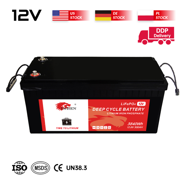 12V/24V/ 100Ah/200Ah/300ah LiFePO4 Lithium Ion Battery Pack for Marine RV UPS Household Solar Systems-6000 Cycles