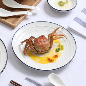 Assiette en porcelaine blanche en céramique chinoise bon marché en gros avec service de vaisselle Blue Line - Product Image 6