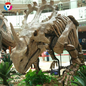 Exhibición de museo, modelo de <span class=keywords><strong>esqueleto</strong></span> de <span class=keywords><strong>dinosaurio</strong></span>, fósil, <span class=keywords><strong>esqueleto</strong></span> de <span class=keywords><strong>dinosaurio</strong></span> de tamaño <span class=keywords><strong>Real</strong></span> - Product Image 4