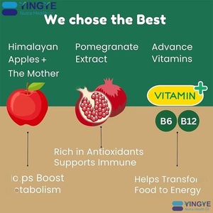 Meistverkauftes Fettverbrennendes Nahrungsergänzungsmittel Zuckerfreie Apfelessig-Brausetabletten für Erwachsene 20er-Pack zur Gewichtskontrolle - Product Image 3