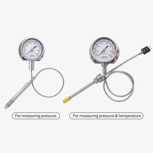 Zhyq PT124Y-615 डायाफ्राम प्रकार उच्च तापमान पिघल दबाव गेज S304/s316 सामग्री से प्रमाणित 350c 100 मिमी व्यास - Product Image 2
