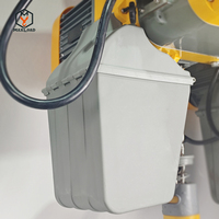 Palan à chaîne électrique de capacité de chargement de prix usine avec l'équipement de levage industriel de petite taille de chariot électrique pour l'atelier
