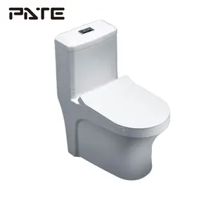 Einteilige weiße Doppels pül toiletten im westlichen Stil für kleine Räume