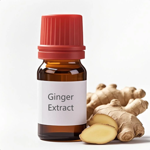 Extrait de gingembre jaune de Yunnan de qualité supérieure pour les boissons digestives, les boissons en vrac <span class=keywords><strong>et</strong></span> les préparations traditionnelles - Product Image 1