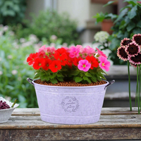Pot de fleurs ovale en fer forgé thermolaqué style campagne française, avec poignée, pour intérieur et extérieur, décoration rustique de ferme pour la maison