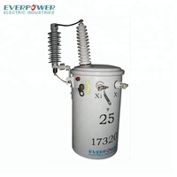 Transformateur de neutre monophasé monté sur poteau EVERPOWER 25KVA 7620kv
