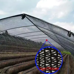 Werks schwarzes Garten-Landwirtschafts-Schattennetz HDPE Kunststoff UV-Guss Farbschattennetzfolie