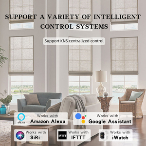 Tùy chỉnh đơn giản Rèm Roman cho văn phòng & nhà điện nhôm màu Roman với được xây dựng trong Rèm theo dõi cho pháp <span class=keywords><strong>Windows</strong></span> - Product Image 3