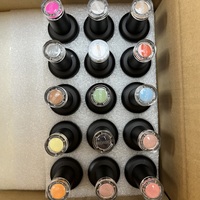 Pro Gel Vernis À Ongles Fabricant Soak Off Uv LED Lampe À Ongles Gel DIY Maison Ongles Manucure Cadeaux pour Femmes