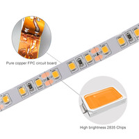 Tira de luces led blanca cálida, tira flexible de luces led de 12v 2835SMD 120D, venta al por mayor
