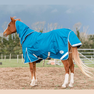 Horse Cooler <strong>Rug</strong> Breathable Mesh Horse Blanket Summer Horse Sheet Lightweight Quick Dry Stable Cooler <strong>Rug</strong> - Product Image 4