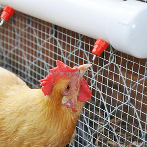 Abreuvoir <span class=keywords><strong>automatique</strong></span> YYC pour poulets de chair, poules pondeuses, tétine pour abreuvoir pour animaux - Product Image 6
