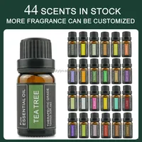 6 * 10ml Set Minyak Wangi Essentials Blends untuk Isi Ulang Diffuser Rumah, Lilin, Pembuatan Slime, Sabun, Pewangi Mobil, Pewangi Cucian, Minyak DIY