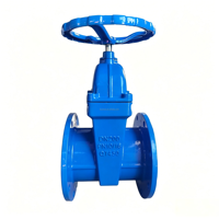 Vanne à opercule à bride en fonte Langqiao Z45X-16Q DN50-DN1200 (5"-16") pour eau, à commande manuelle, norme DIN, support ODM/OEM/OBM