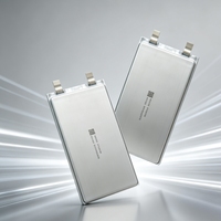 Batterie au lithium polymère 3070130 3,7 V 3000 mAh, performances stables pour les produits numériques, les banques d'alimentation et les projets de bricolage