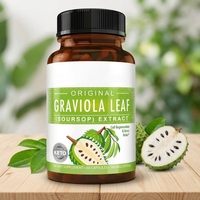 Complément alimentaire en capsules d'extrait de feuille de Graviola, marque privée OEM, pour fournir de l'énergie, améliorer l'immunité, adultes, 60 capsules/flacon
