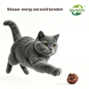 Haccp New Product Freeze-Dried Matatabi Insect Gall Fruit Silver Vine Actinidia Polygama for Cat Chew <b>Toy</b> & Cat Snack - Product Image 2