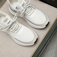 Chaussures de sport respirantes pour hommes en maille ajourée, à lacets, amortissantes, antidérapantes, à semelle épaisse, pour la marche en extérieur et la course à pied