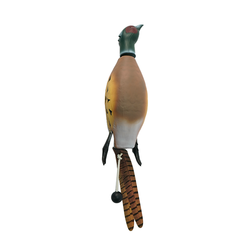 Faisán grande
