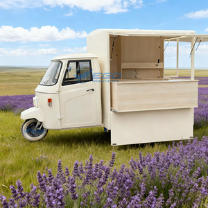 Camions de restauration mobiles 2026 : Mini camions de restauration, cafés à hot-dogs, glaces, équipements de cuisine commerciale entièrement électriques - Product Image 4
