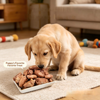 Paitei Cœurs de poulet lyophilisés, pure viande, friandises pour chiens et chats, riches en protéines, sans céréales, faibles en gras, fabriqués en Chine 100%