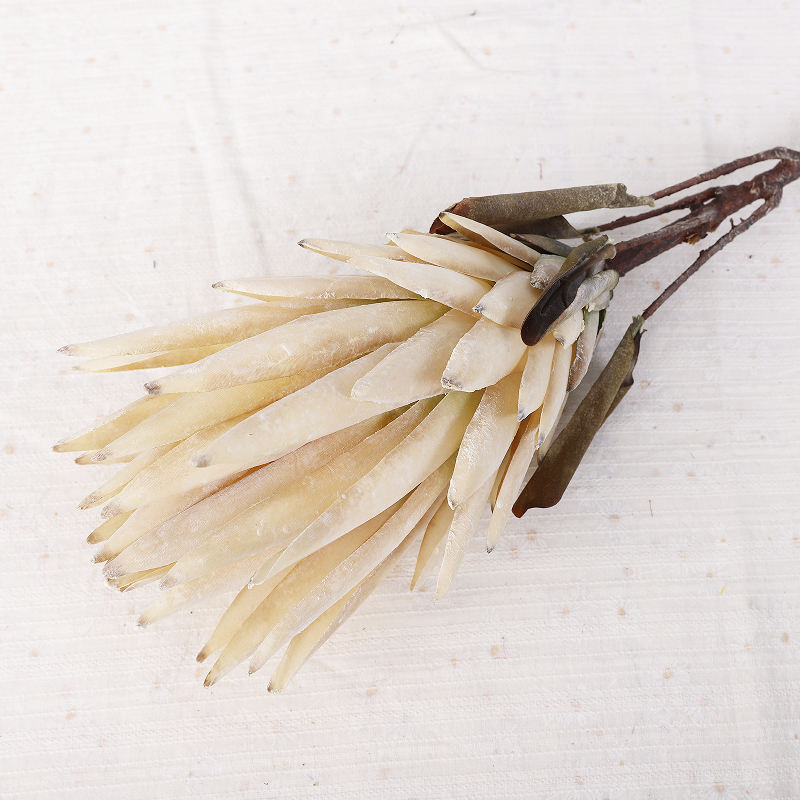 ขาว-ใหญ่