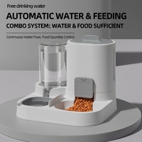 Distributeur automatique d'eau et de nourriture pour animaux de compagnie en plastique, grande capacité, non électrique, station d'alimentation pour chats