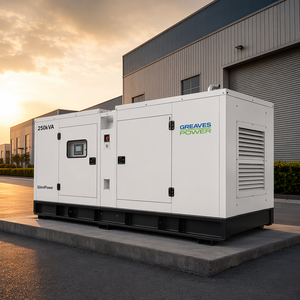 Generador Industrial Silencioso de 250 kVA y 200 kW |   Generador Trifásico Insonorizado de Alta Resistencia para Proyectos Industriales LT-250KVA-200KW - Product Image 3