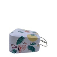 Boîte en fer blanc mini personnalisée recyclable avec poignée métallique pliable, étui de transport cadeau, emballage en gros direct usine